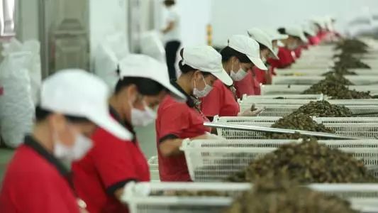 这个 6000 万人都在吃的食物,竟然是 1 级致癌物!