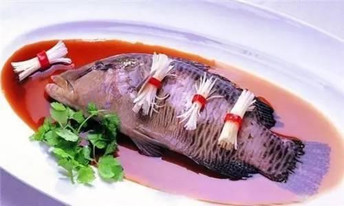 大名鼎鼎的高级鱼类食材代表——苏眉