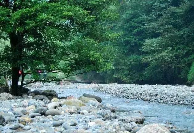 不用去瑞士,成都也要有山地火车了,直达四姑娘山!