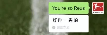 微信翻译在线帮你撩人，谁试都说好 | 唠氪儿