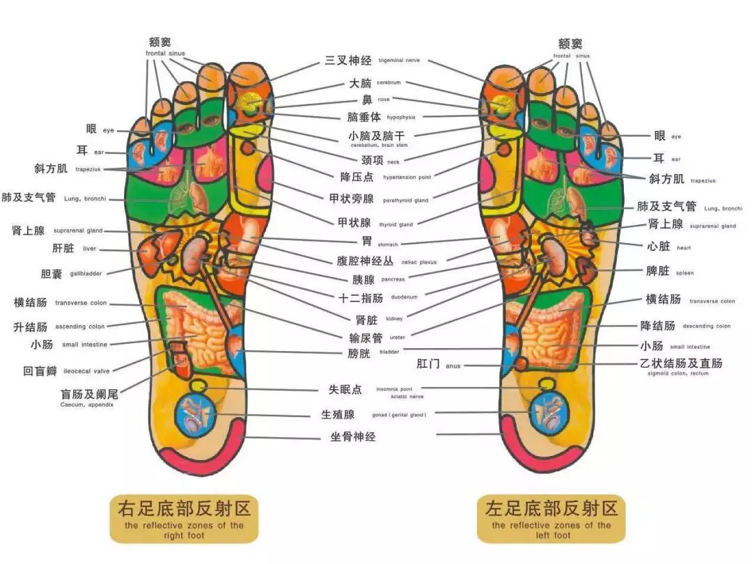 低头摸脚病都赶跑很多病在脚上都有开关只是你不知道