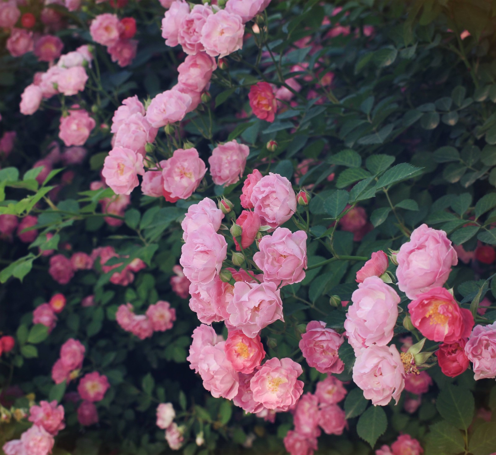 d5cc2aeccb994299961a85b56a02ff48.jpg