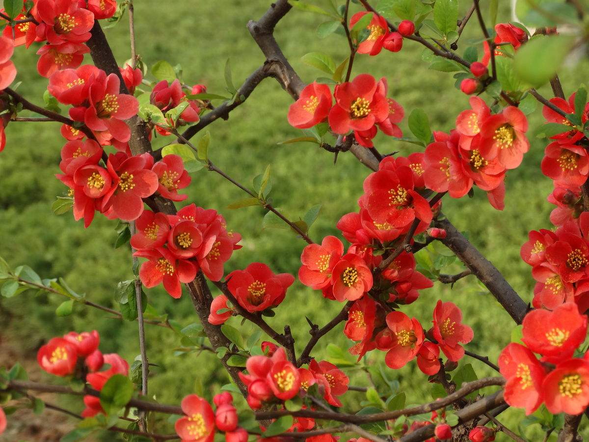 6faa370d2d2e40b3bbc5a8d69a0953fa.jpg