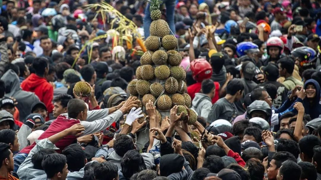 印尼年度“榴梿节”新鲜榴莲免费吃是怎么回事 现场火爆异常