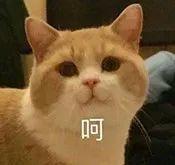 阿Sa发生了什么，脸肿得越来越像阿娇了