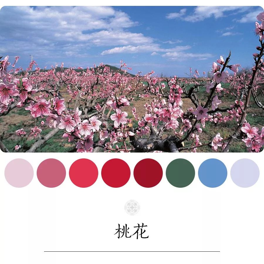 桃花
