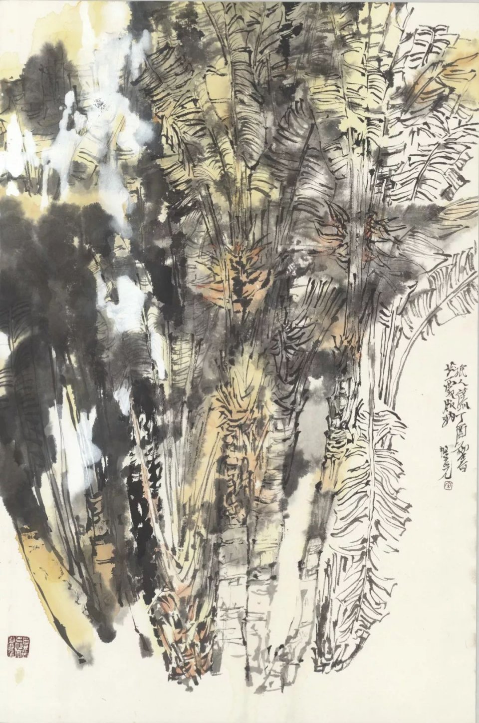 出版个人画集《宋丰光张锦平精品集》,《宋丰光张锦平花鸟画》, 《百