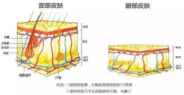 张嘉倪综艺再扮顺嫔，一对比发现电视剧的修图真是没话讲