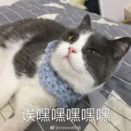 为什么女人整形花样多，男人整形却只有两个方向？