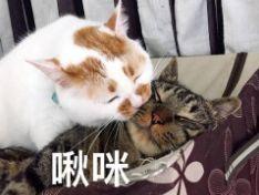 林允儿的神颜也崩了！脸歪+填充成气球，这两道沟又是什么鬼？