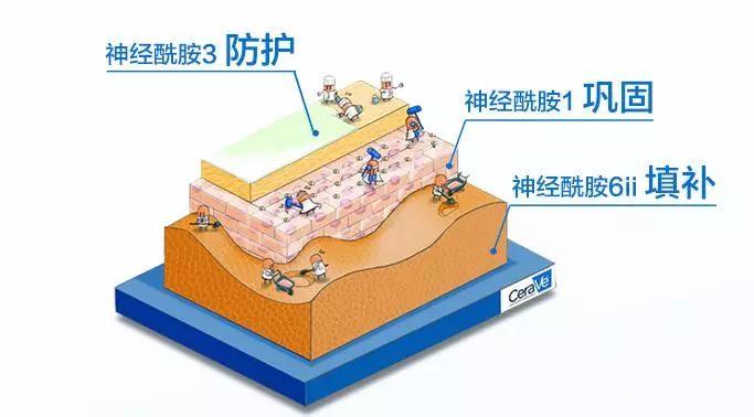 俘获小鲜肉，代言美国版大宝，这张新面孔悄咪咪成功上位？