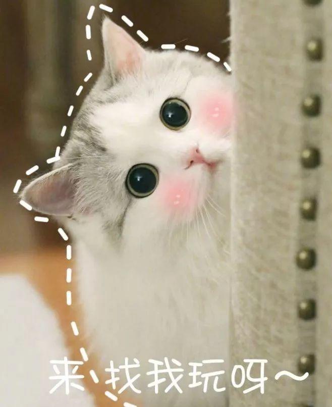 全球第一美近照被质疑整容？这个身材是真的神仙啊！
