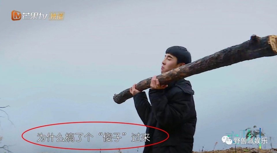 一个话痨，一个段子手，我发现了两个妙人儿…