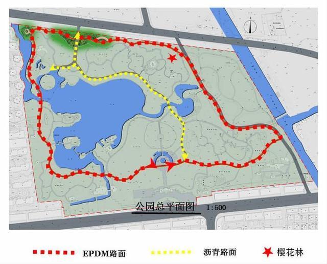 桐乡市新世纪公园道路原来这样改造厉害了