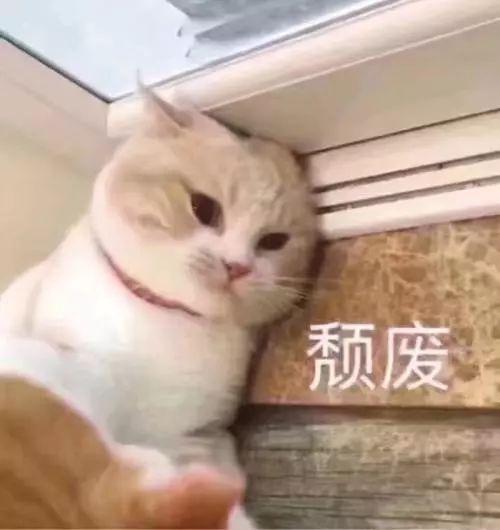 被向太拖进豪门的郭碧婷因800万钻戒被酸了？向佐这个回复甜炸惹！