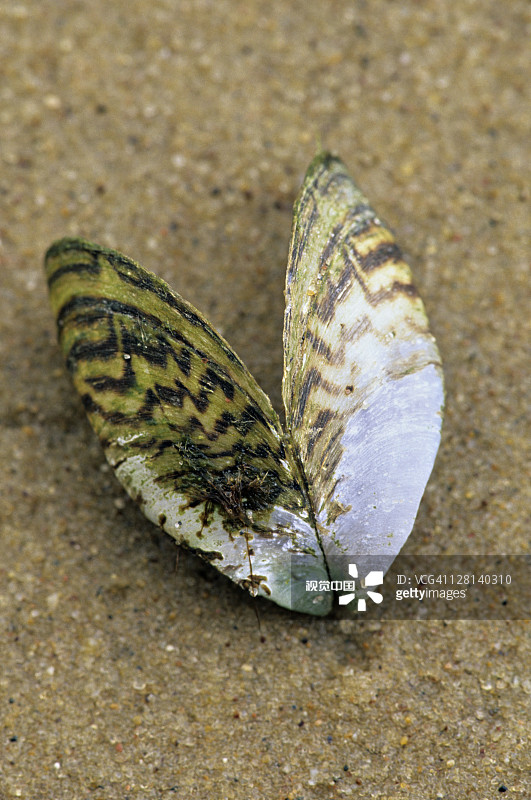 c56de68ef41242af90e59161d2f9ba5e.jpg c56de68ef41242af90e59161d2f9ba5e.jpg