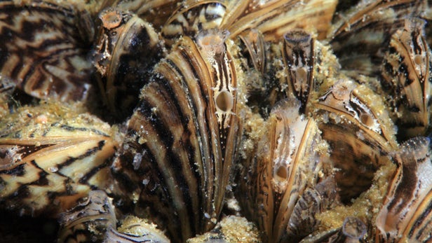 25de8c7b01b9487cbac5efa573cdd6ae.jpg 25de8c7b01b9487cbac5efa573cdd6ae.jpg