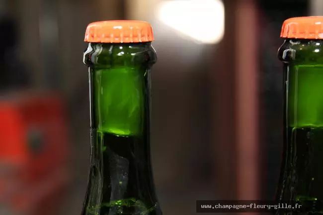 如何读懂香槟酒标