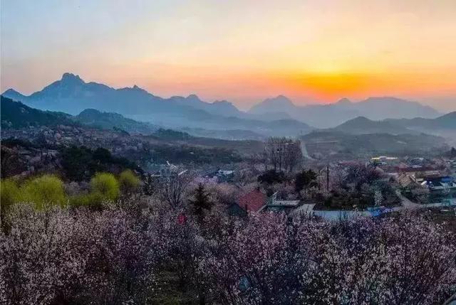 打个“飞的”来舟山!这条航线开通后,美了市民,乐了游客!