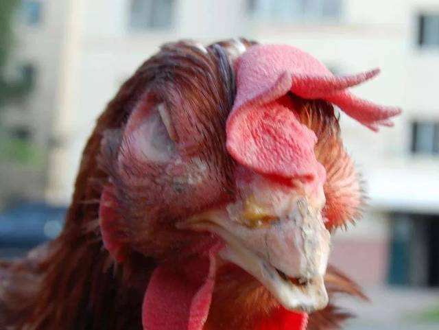 29459c14405c4ca48d1848b709657541.jpg 29459c14405c4ca48d1848b709657541.jpg