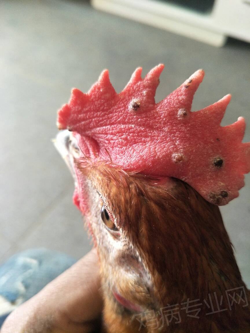 93f28c6db24c41d787b4342fe98b1727.jpg 93f28c6db24c41d787b4342fe98b1727.jpg