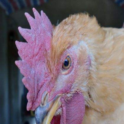 ac93c49a6a814e4e8e23637cad049631.jpg ac93c49a6a814e4e8e23637cad049631.jpg