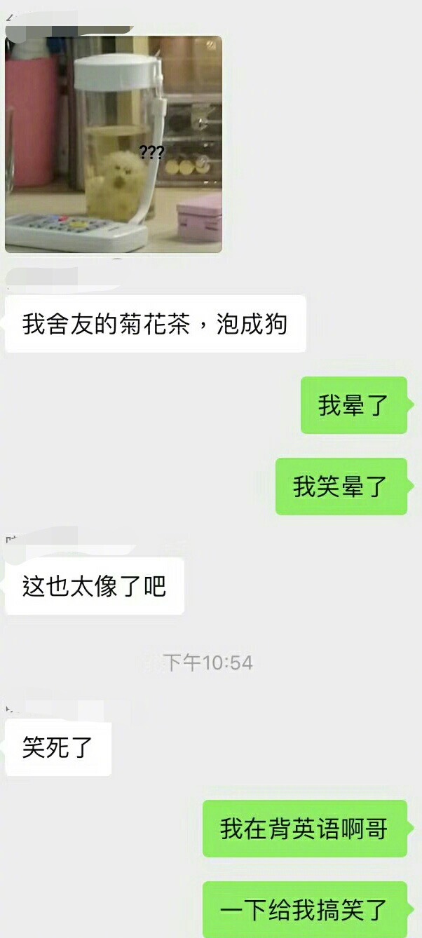 每日神段子丨若非cp太美丽，谁与sb共粉籍