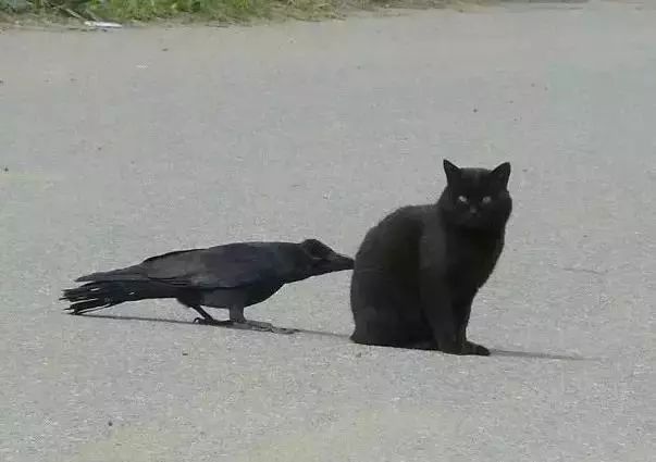 عһˡ