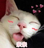 曾当众骚扰刘亦菲的猥琐男，又把景甜扑倒？网友关注的竟是女星胖了20斤的脸…
