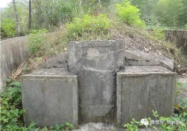 少女掉进蛇巢第二天墓地添新坟坟里住着活人