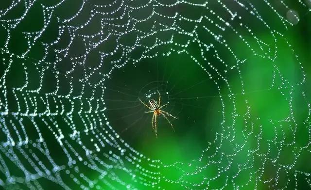 摄影学:想要摄影作品出众,不妨利用形状透视关系进行构图创作