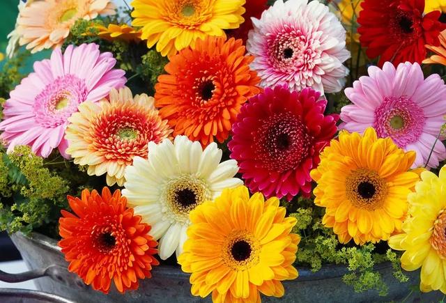 五一去哪玩?咸宁旅游攻略|通城篇