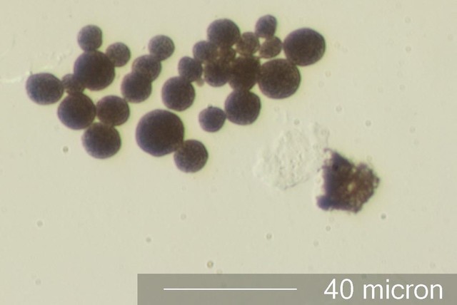 打印机耗材:你不知道的背后秘密