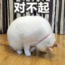 苹果肌垂到嘴角的郑爽出演《新倩女幽魂》剧照流出，这状态我真夸不出口···