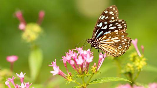 24352ca16a1a4787930d230cabb60ac5.jpg 24352ca16a1a4787930d230cabb60ac5.jpg