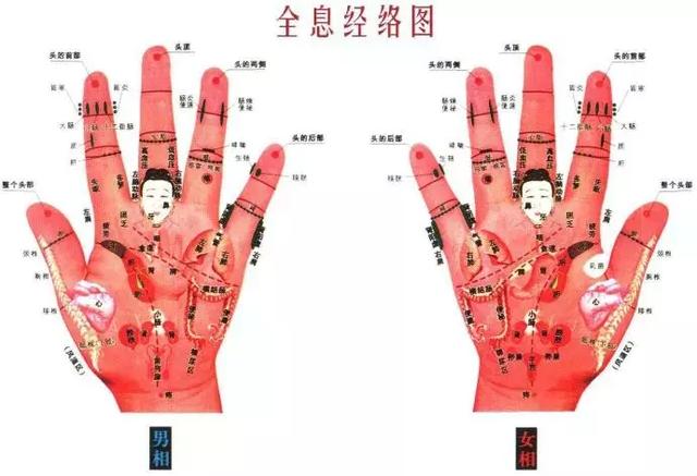 看懂这张图,穴位不用找(人体全息图)
