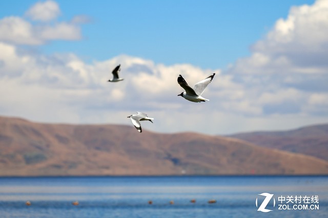 售价11398元松下70-200mm f/4镜头评测