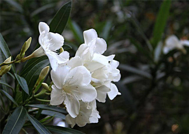 d54e1dd6d11d47dbb1e207bd2ed1bba9.jpg d54e1dd6d11d47dbb1e207bd2ed1bba9.jpg