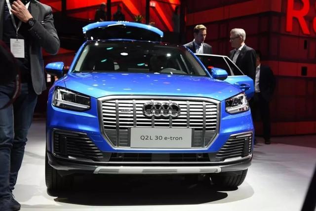 奥迪国产电动SUV，中国特供，补贴后30万起，网友：又凉了