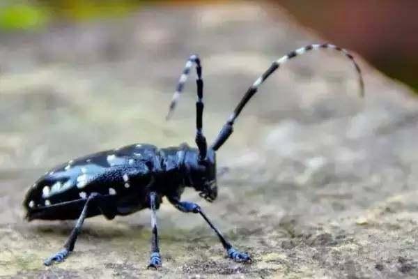 又一波回忆终成回忆“小霸王”就此别过!80后回忆盘点,说好不哭