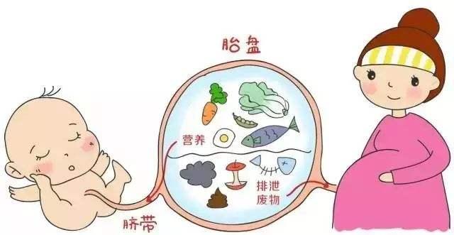 剪断脐带的时候,宝宝有多疼?
