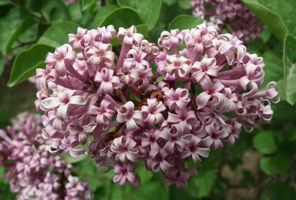 f4a55e66d7f94374a50bcb1176f863fa.jpg f4a55e66d7f94374a50bcb1176f863fa.jpg