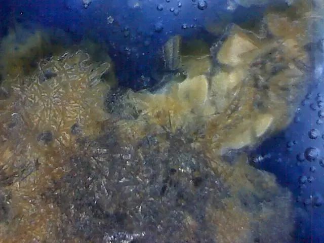 156、瓷器微观典型特征