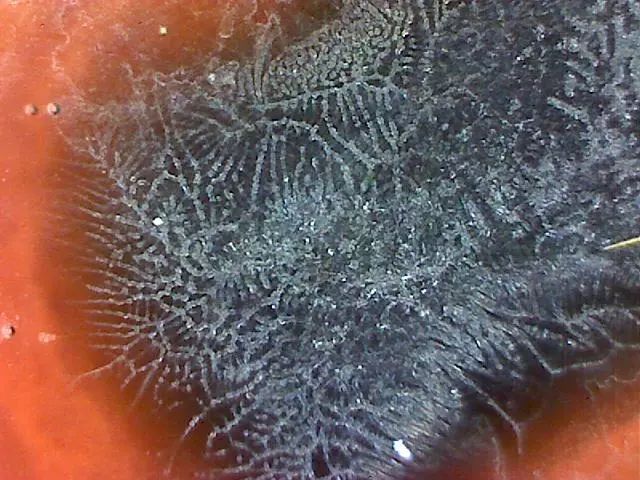 156、瓷器微观典型特征