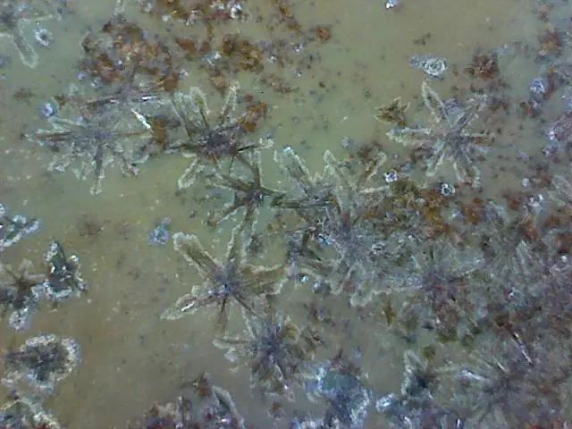 156、瓷器微观典型特征