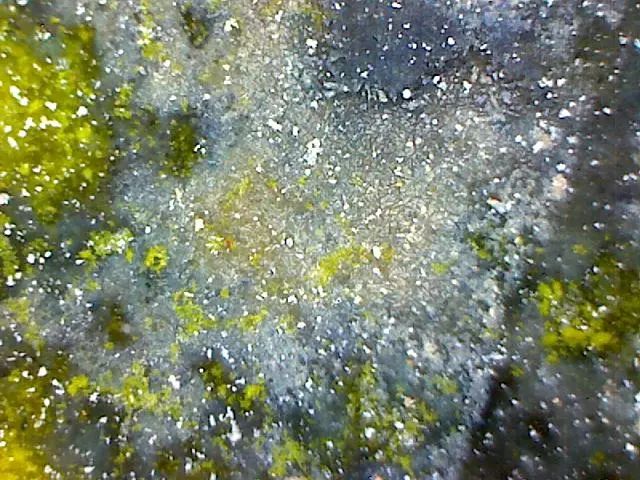 156、瓷器微观典型特征