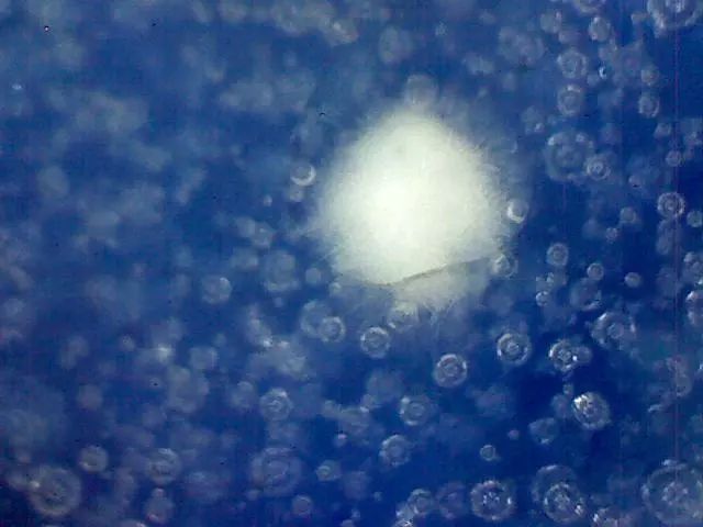 156、瓷器微观典型特征