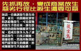 日常生活中哪些肉要少吃？作者：灵芝师姐