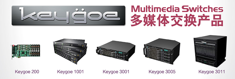 东进Keygoe促进新兴技术在电子政务中的应用 东进Keygoe促进新兴技术在电子政务中的应用