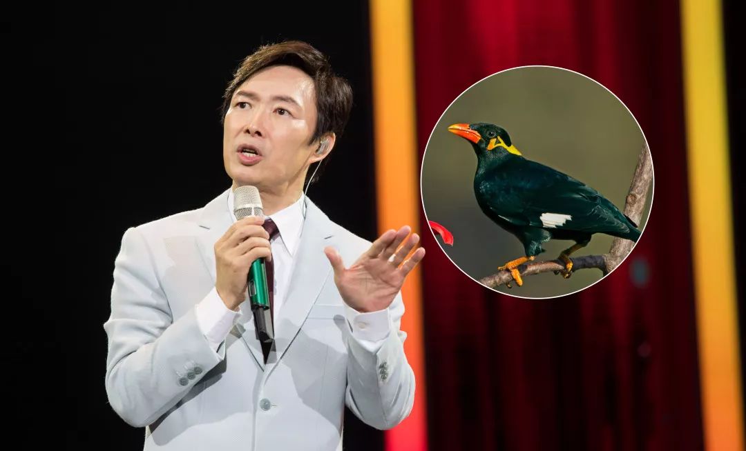 成都老中青三代 为什么爱好这么和谐？